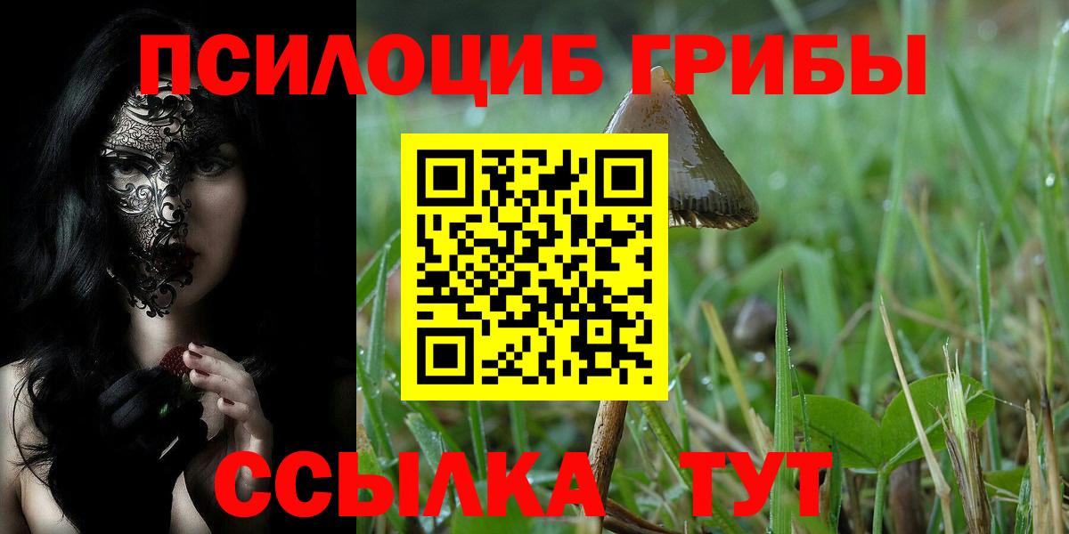 Псилоцибиновые грибы Cubensis  Вход с VPN  Городец  Псилоцибиновые грибы GOLDEN TEACHER 