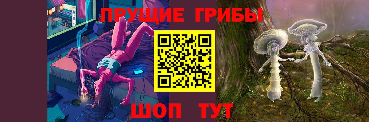 Галлюциногенные грибы Psilocybine cubensis Городец